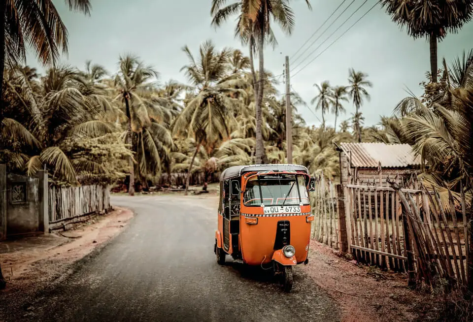 ¿Por qué es famosa Sri Lanka? (¡Te sorprenderias!)