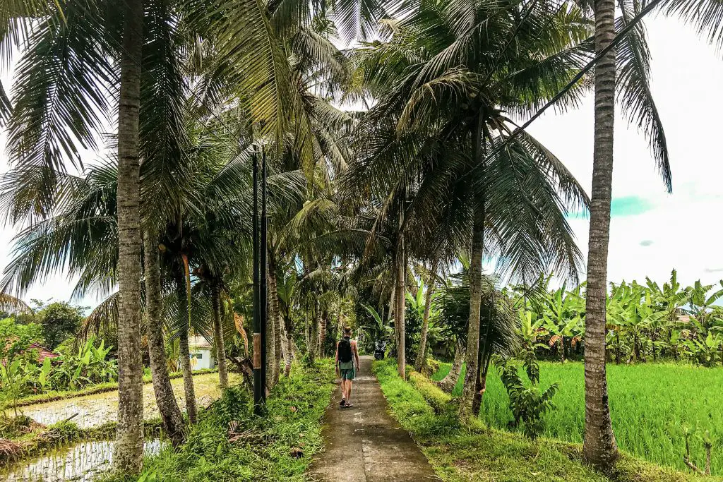 Canggu Digital Nomad Life: La MEGA Guía (2023) Canggu Digital Nomad Life: La MEGA Guía (2023)