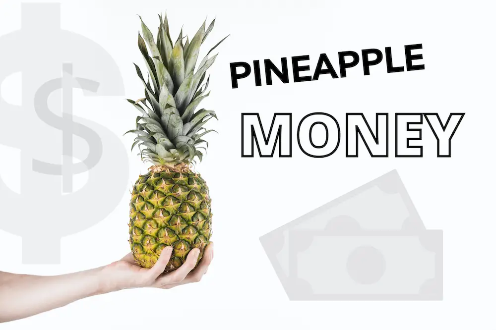 https://www.pineapplemoney.com/contact