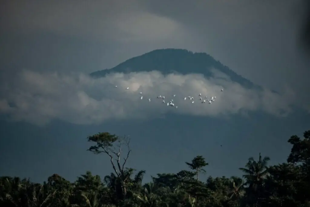 Los mejores lugares para vivir en Bali para nómadas digitales (2023)