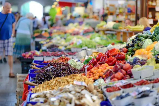 De la semilla a la venta: cómo ganar dinero vendiendo plantas De la semilla a la venta: cómo ganar dinero vendiendo plantas