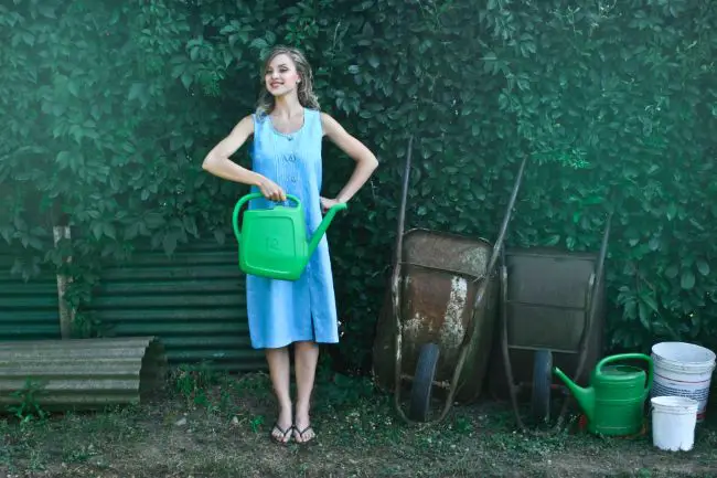 De la semilla a la venta: cómo ganar dinero vendiendo plantas De la semilla a la venta: cómo ganar dinero vendiendo plantas