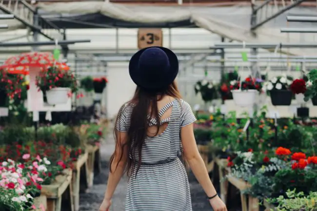 De la semilla a la venta: cómo ganar dinero vendiendo plantas De la semilla a la venta: cómo ganar dinero vendiendo plantas