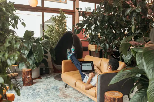 De la semilla a la venta: cómo ganar dinero vendiendo plantas De la semilla a la venta: cómo ganar dinero vendiendo plantas