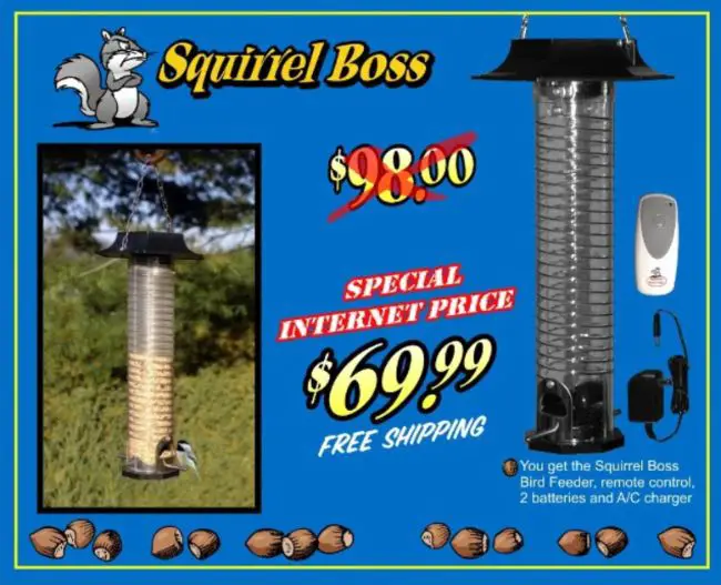 De grandes ideas a grandes fracasos: los fracasos más épicos de Shark Tank De grandes ideas a grandes fracasos: los fracasos más épicos de Shark Tank