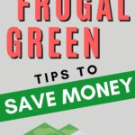 Cómo ser frugal y respetuoso con el medio ambiente: más de 91 consejos para ahorrar dinero y proteger el medio ambiente