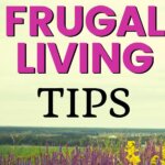 Más de 175 consejos sencillos y fáciles para una vida frugal y ahorrar dinero Más de 175 consejos sencillos y fáciles para una vida frugal y ahorrar dinero