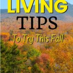 Más de 175 consejos sencillos y fáciles para una vida frugal y ahorrar dinero Más de 175 consejos sencillos y fáciles para una vida frugal y ahorrar dinero