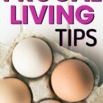 Más de 175 consejos sencillos y fáciles para una vida frugal y ahorrar dinero Más de 175 consejos sencillos y fáciles para una vida frugal y ahorrar dinero