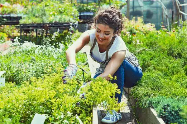 Los mejores negocios en línea y paralelos para estudiantes: ideas para ganar dinero rápido