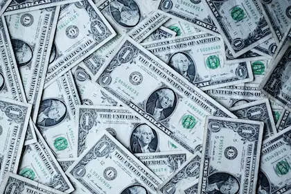 Cómo ganar $200 rápidamente siendo niño: 8 métodos realistas Cómo ganar $200 rápidamente siendo niño: 8 métodos realistas