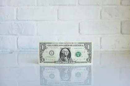 Cómo ganar $4000 rápidamente siendo niño: 8 métodos válidos y atrevidos Cómo ganar $4000 rápidamente siendo niño: 8 métodos válidos y atrevidos