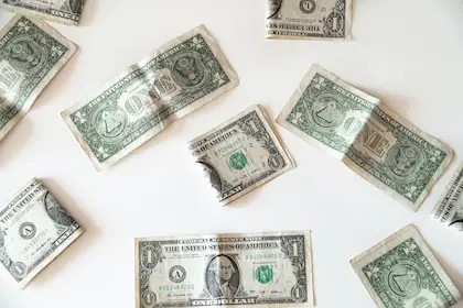 Cómo ganar $500 al mes siendo niño: 10 formas seguras Cómo ganar $500 al mes siendo niño: 10 formas seguras