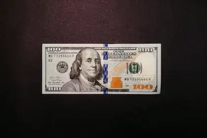 Cómo ganar $60 al día: 12 métodos sencillos Cómo ganar $60 al día: 12 métodos sencillos