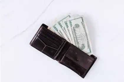 Cómo ganar $800 al día en línea: 7 formas realistas Cómo ganar $800 al día en línea: 7 formas realistas