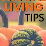 Más de 175 consejos sencillos y fáciles para una vida frugal y ahorrar dinero Más de 175 consejos sencillos y fáciles para una vida frugal y ahorrar dinero